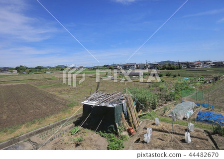 a View through tram window of the country side 44482670