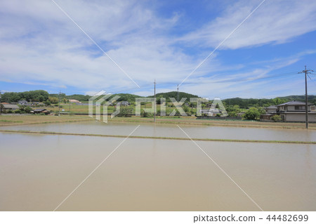 a View through tram window of the country side 44482699