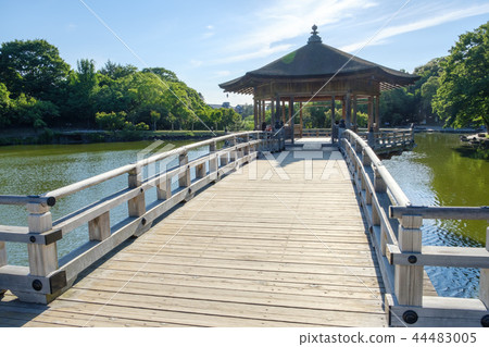 奈良公園的Ukifumido 奈良公園的Ukifumido 44483005