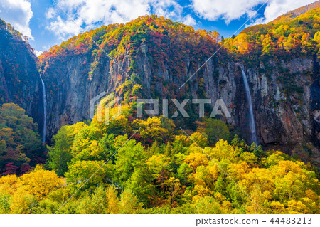 (Nagano Prefecture) Yonago Daifufu Autumn leaves 44483213