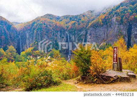 (Nagano Prefecture) Looking from the observation deck, Yonago Daiofu Fall leaves (Nagano Prefecture) Looking from the observation deck, Yonago Daiofu Fall leaves 44483218