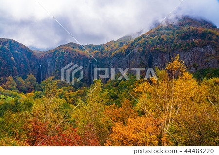 (Nagano Prefecture) Yonago Daifufu Autumn leaves (from the observation deck) (Nagano Prefecture) Yonago Daifufu Autumn leaves (from the observation deck) 44483220