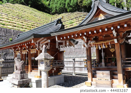 牛川上神社Kamisha 牛川上神社Kamisha 44483287
