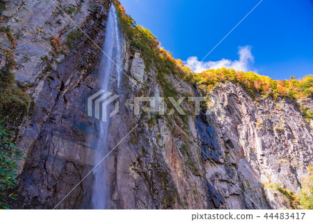 (Nagano) Yonago Daifufu Fudo Waterfall of colored leaves (Nagano) Yonago Daifufu Fudo Waterfall of colored leaves 44483417