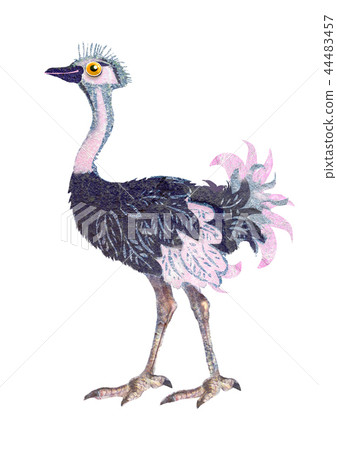 Ostrich. Cartoon illustration on white backdrop 44483457