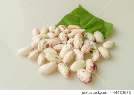 Kangnam-kon，許多，水果，葉子，在室內，靜物畫 44483678