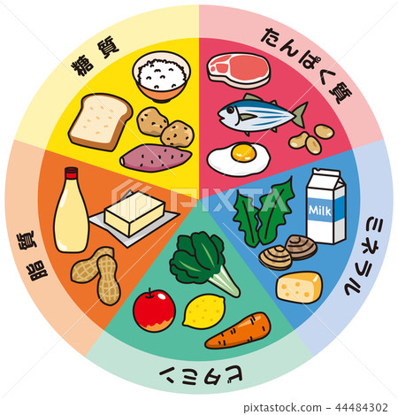 Five major nutrients - Stock Illustration [44484302] - PIXTA