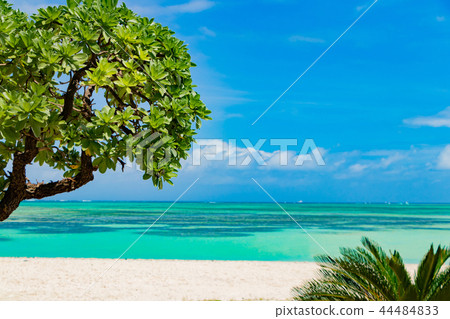 Okinawa Taketomi Island Kondoi Beach Okinawa Taketomi Island Kondoi Beach 44484833