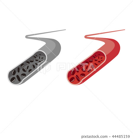 Blood and blood vessels - Stock Illustration [44485159] - PIXTA