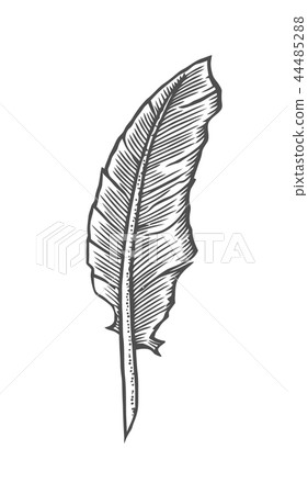 feather quill pen in a vintage woodblock style feather quill pen in a vintage woodblock style 44485288