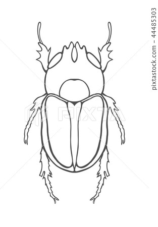 Big Insect Line art Big Insect Line art 44485303