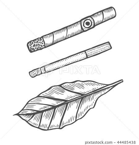 Cigars and guillotine Cigars and guillotine 44485438