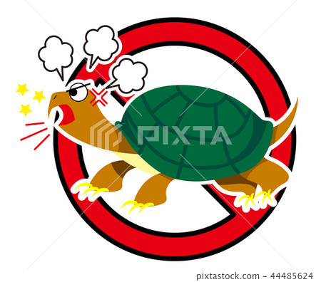 Illustration of a snake tortoise 44485624