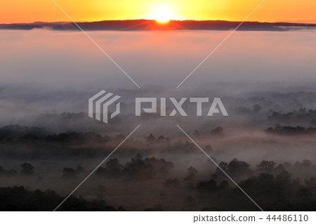 Kushiro wetland of the sea of clouds 44486110