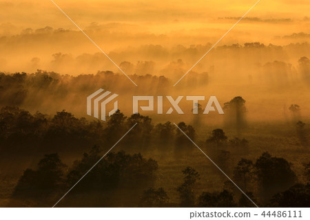 Kushiro wetland of the sea of clouds Kushiro wetland of the sea of clouds 44486111