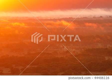 雲海的釧路濕地 44486116