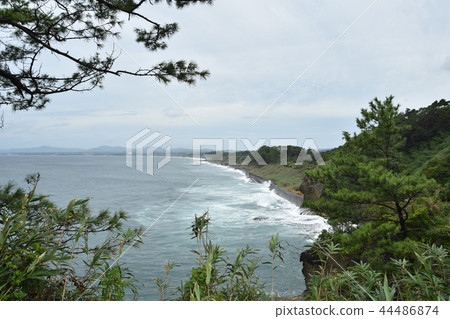 Coast and waves 44486874