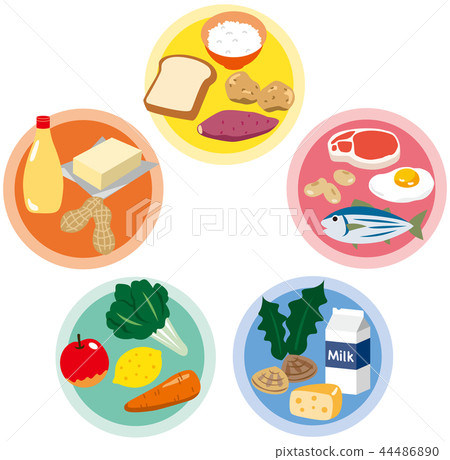 五大營養素營養均衡 44486890