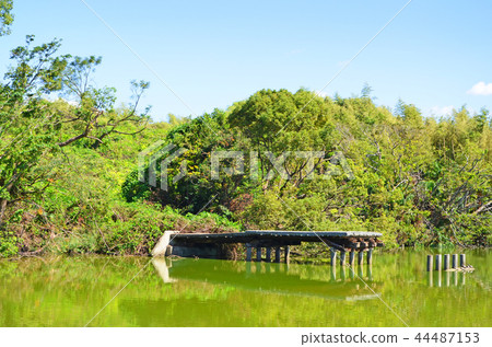 大阪古墓（世界文化遺產） 44487153