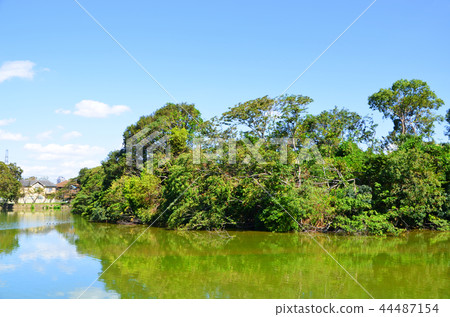 大阪古墓（世界文化遺產） 44487154