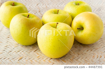 黃苹果環岩手1號 44487391