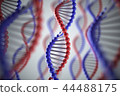 DNA image: red blue 44488175