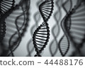 DNA image: black 44488176