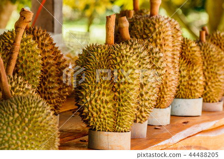 Tropic fruit durian on market table. Tropic fruit durian on market table. 44488205