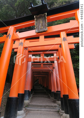 伏見Inari Taisha Senbon Torii 伏見Inari Taisha Senbon Torii 44488341