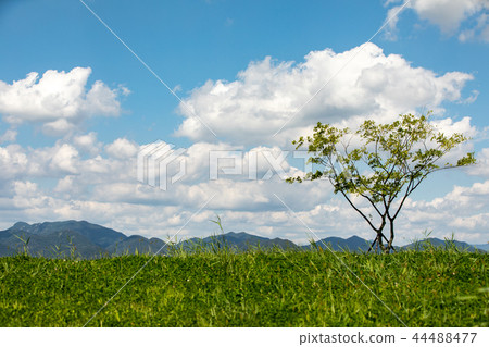 秋天的天空 秋天的天空 44488477