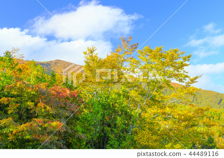 來自Iwakagamidaira的Kurikomayama 2 來自Iwakagamidaira的Kurikomayama 2 44489116