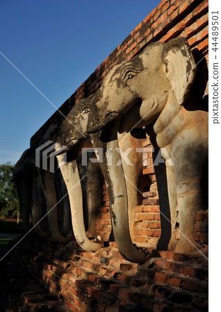 Wat Chang lom, elephant statues around Sukhothai 44489501