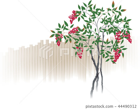 南方的天空 南方的天空 44490312