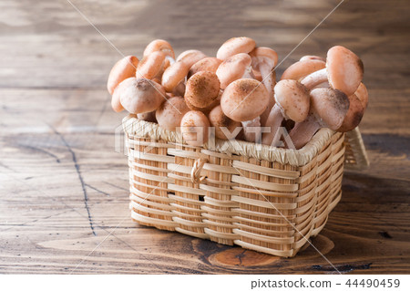 Mushrooms raw honeydew in a straw basket Mushrooms raw honeydew in a straw basket 44490459