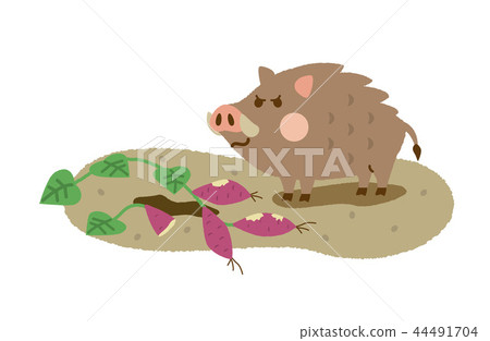 Wild boar field ruin 44491704