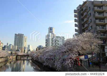 Ookagawa Promenade Ookagawa Promenade 44491824