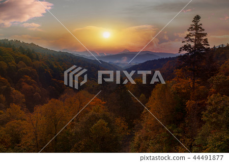beautiful autumn season leaves color change japan beautiful autumn season leaves color change japan 44491877