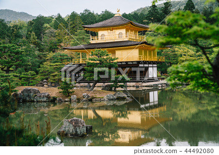 Japanese golden temple located in pond in Kyoto Japanese golden temple located in pond in Kyoto 44492080