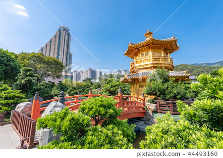 Hong Kong South Lotus Garden Pond Lotus Pond / Teimankaku 44493160