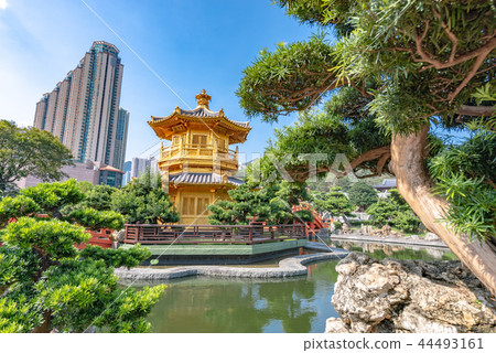 Hong Kong South Lotus Garden Pond Lotus Pond / Teimankaku Hong Kong South Lotus Garden Pond Lotus Pond / Teimankaku 44493161