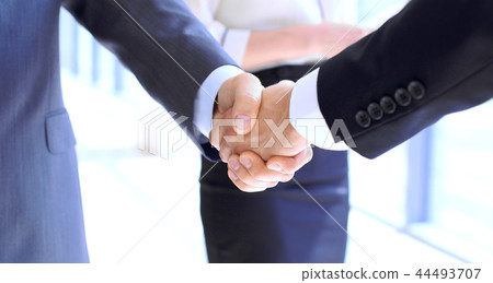 Business people shaking hands as a sign of agreement. Success concept 44493707