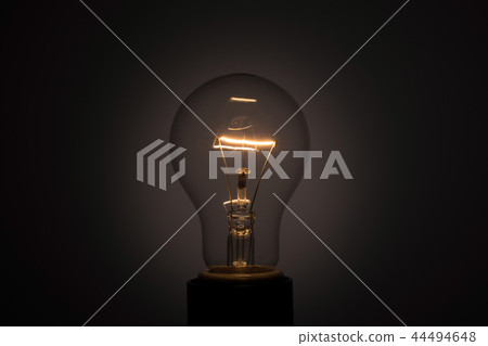 電燈泡 44494648