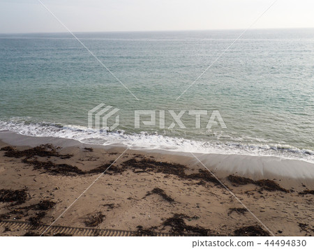海 海 44494830