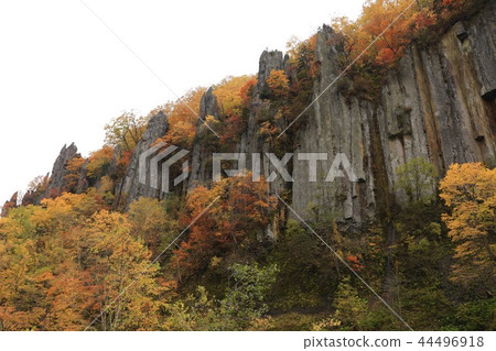Seven Fukuiwa, Tianin Gori in autumn 44496918