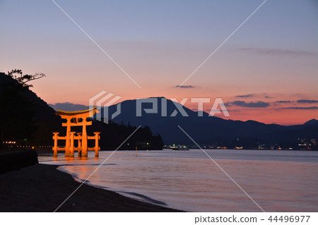 宮島黃昏 宮島黃昏 44496977