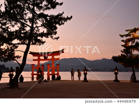 宮島黃昏 宮島黃昏 44496979