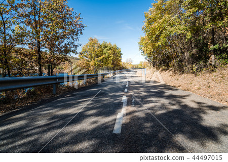 Empty road through Beech forest in Autumn 44497015