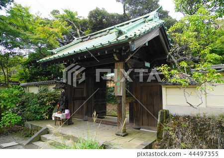 September 575 Kamakura English Shoji Temple, Zen Temple, Flower Temple 44497355