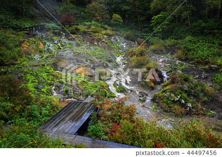 September Chabos Migoke Park 03 Hole Hell September Chabos Migoke Park 03 Hole Hell 44497456