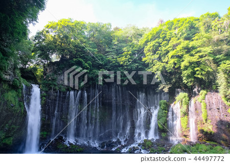 Fujinomiya City Shiraito Falls 44497772